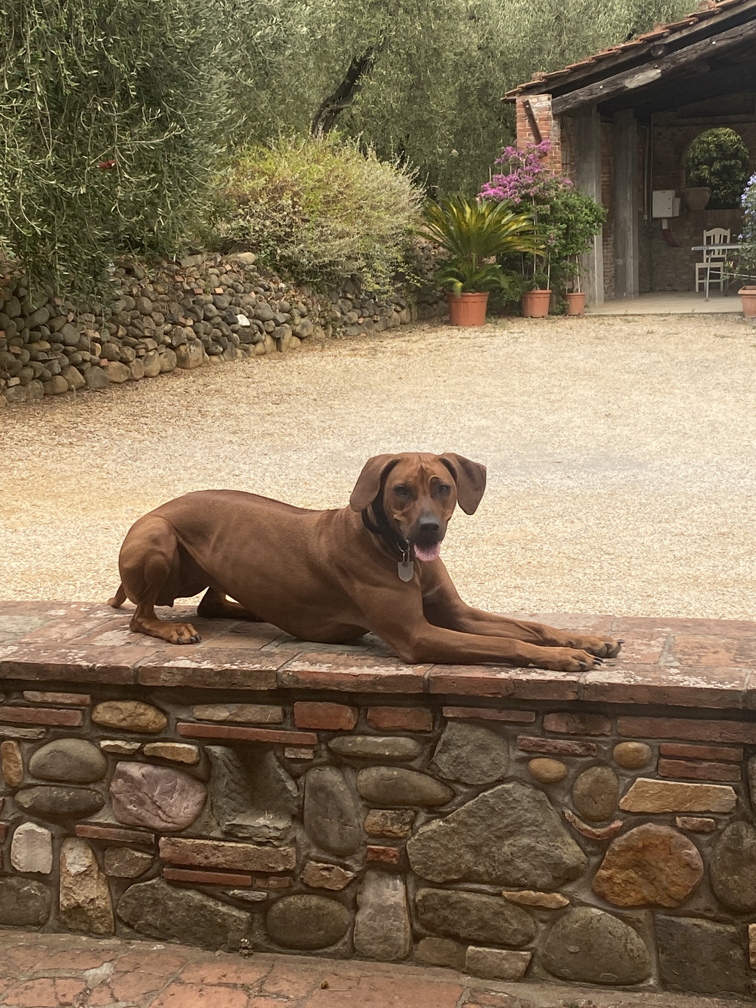 Kayra holding a stay